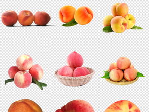 免扣黃桃素材 為生活與工作注入新鮮活力