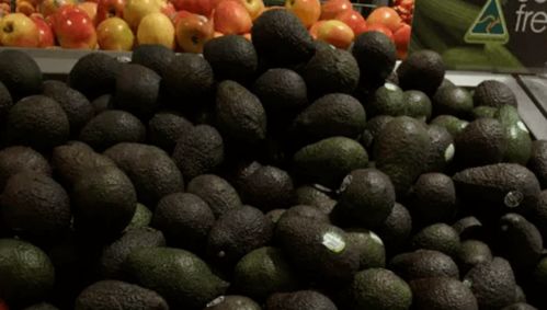 澳洲牛肉價(jià)格將上漲，果蔬價(jià)格有望下跌 市場波動(dòng)背后的原因與展望